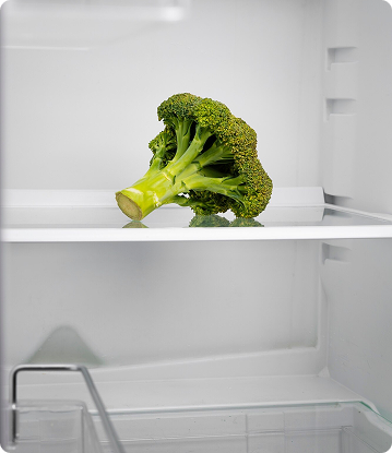 A broccoli in a mini refrigerator